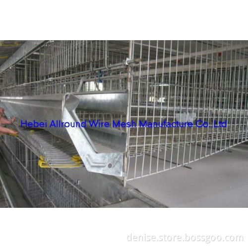 cages for chickens (factory) 2014